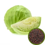 CABBAGE SEED