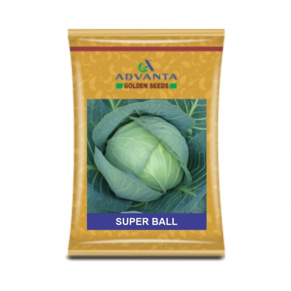 ADVANTA/upl CABBAGE SUPER BALL 50 (10 GM)