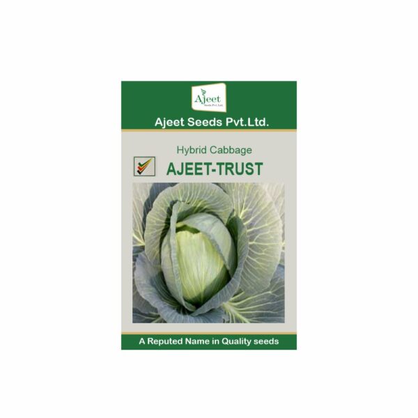 AJEET HYBRID CABBAGE  TRUST (10 GM)