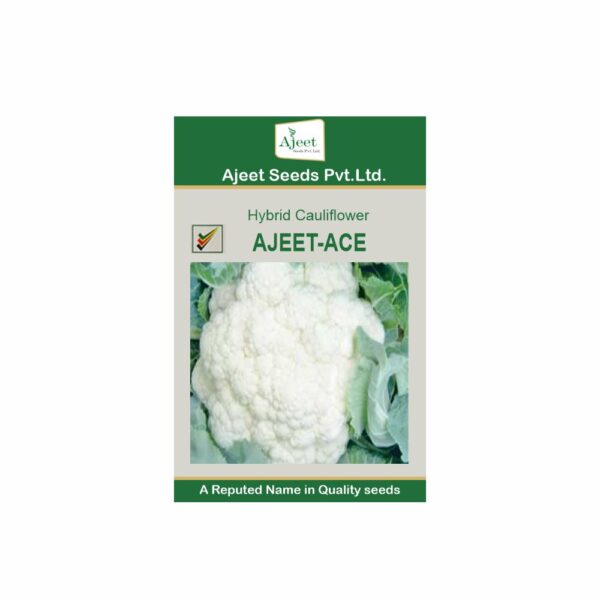 AJEET HYBRID CAULIFLOWER ACE (10 GM)