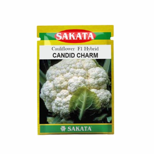 SAKATA CAULIFLOWER F1 CANDID CHARM (10 GM) (POUCH)