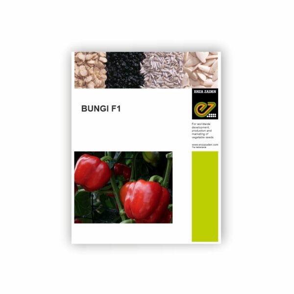 ENZA CAPSICUM ENZA BUNGI (1000 SEEDS)