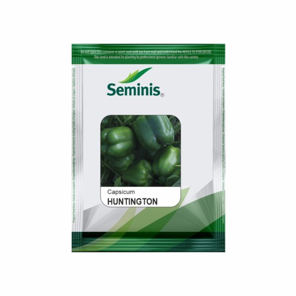 SEMINIS / MONSANTO CAPSICUM HUNTINGTON  (1500 SEEDS)