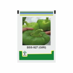 KALASH CAPSICUM BSS-927 (GIRI) (10 GM)