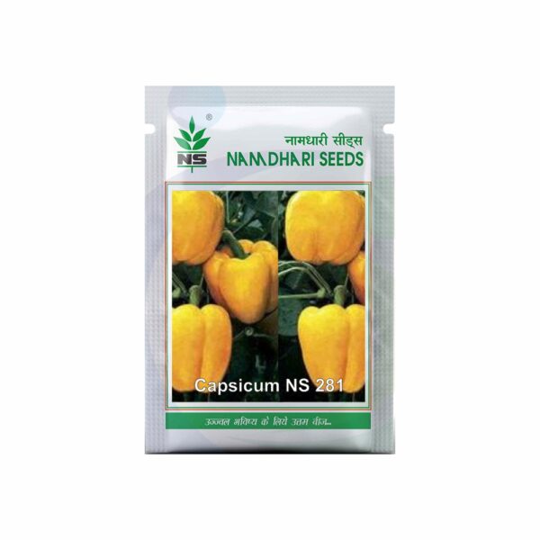 Namdhari CAPSICUM NS 281 YELLOW 1000 SEEDS