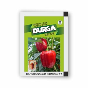 DURGA hybrid CAPSICUM RED WONDER F1 (kitchen garden packet) (Minimum 10 Packets)