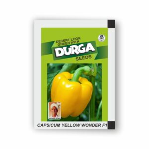 DURGA hybrid CAPSICUM YELLOW WONDER F1 (kitchen garden packet) (Minimum 10 Packets)