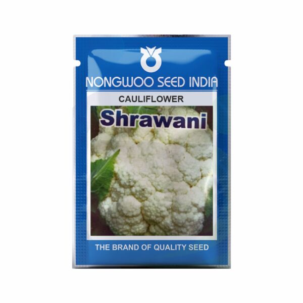 NONGWOO CAUILFLOWER SHRAWANI (10 GM)