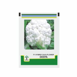 KALASH Cauliflower Deepa F1 (10 gm)