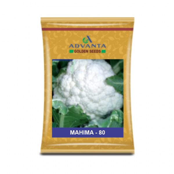 ADVANTA/upl CAULIFLOWER MAHIMA 80 (10 GM)