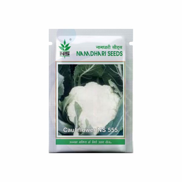 Namdhari CAULIFLOWER NS 555 (SUPER) (10GM)