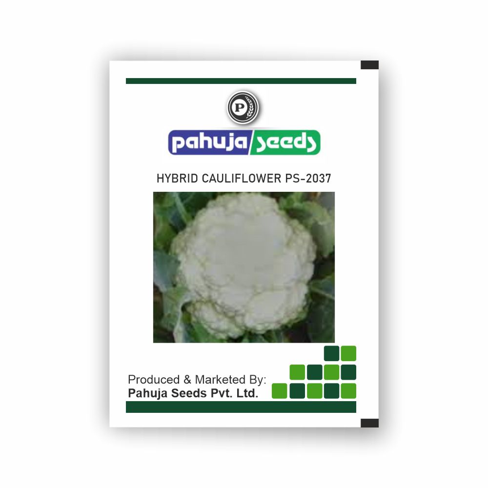 PAHUJA HY. CAULIFLOWER PS-2037 - PAHUJA - (10GMS)