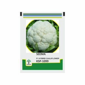KALASH Cauliflower KSP 1099 Seema F1 (10 gm)