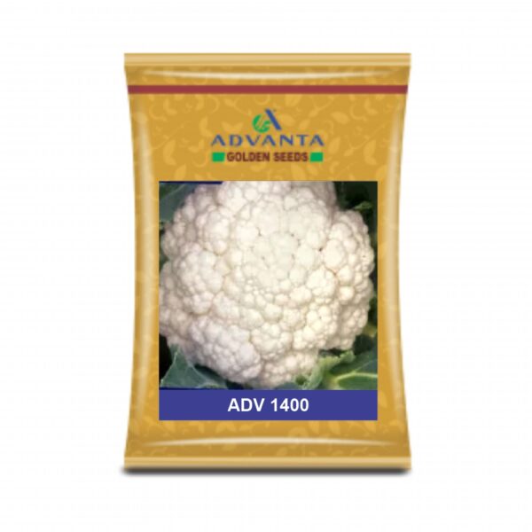 ADVANTA/upl CAULIFLOWER ADV 1400 (10 GM)