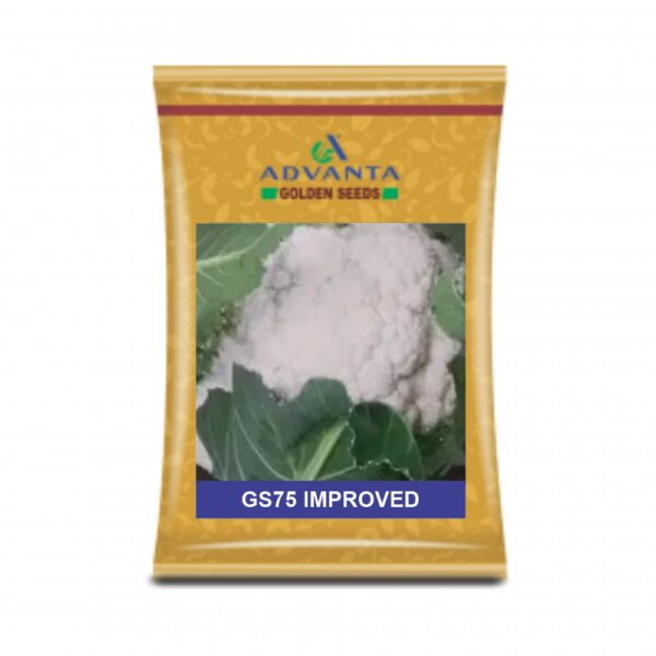ADVANTA/upl CAULIFLOWER GS75 IMPROVED (10GM)