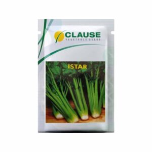 Clause Celery Istar(50 Gm)