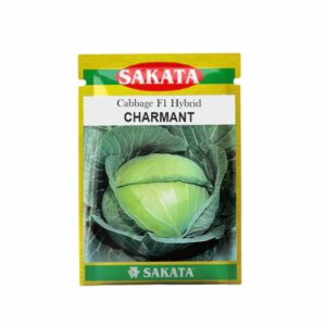 SAKATA CABBAGE F1 CHARMANT (10 GM) (POUCH)