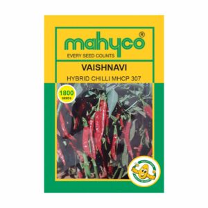 mahyco Chilli  MHCP- 307 (Vaishnavi) 10GM