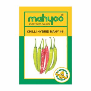 mahyco CHILLI  HY.  MAHY 441  10 GM