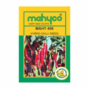 mahyco CHILLI  HY.  MAHY 456  (10 GM)