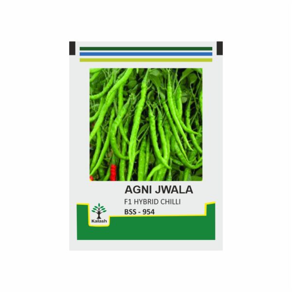 KALASH CHILLI AGNI JWALA (10 GM)