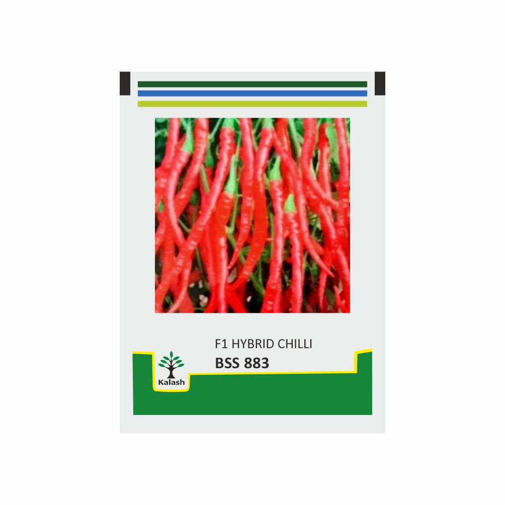 KALASH CHILLI BSS-883 (10 GM)