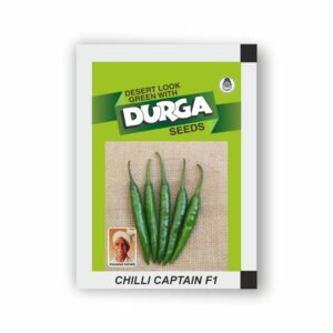 DURGA hybrid CHILLI CAPTAIN F1(kitchen garden packet)