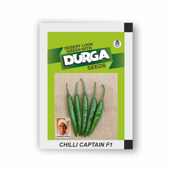 DURGA hybrid CHILLI CAPTAIN F1 (10 gm)