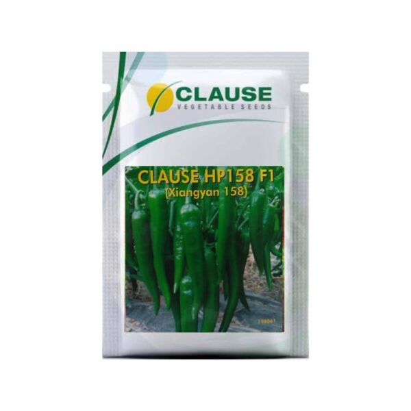 Clause CHILLI CLAUSE HP 158 (10 GM)