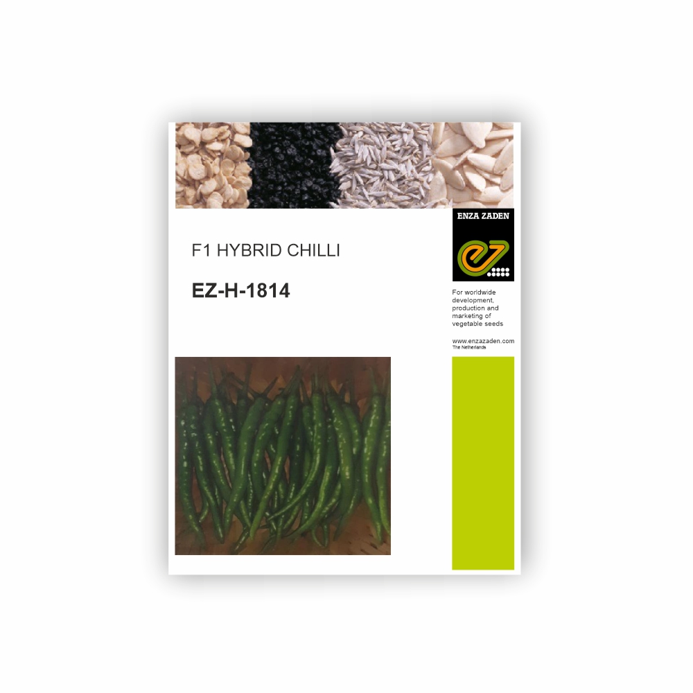 ENZA CHILLI EZ-H-1814 (10 GM)