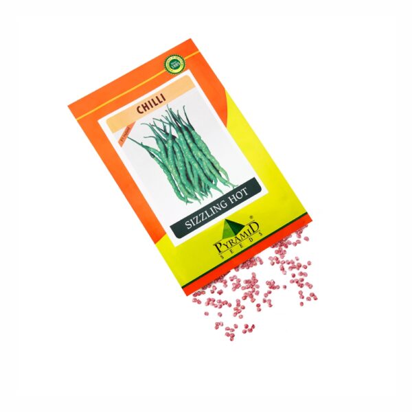 NAMDEO CHILLI GREEN SIZZLER (250 GM)
