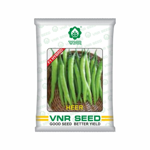 VNR f1 CHILLI HYBRID HEER (10 gm)
