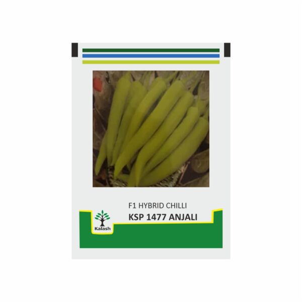 KALASH CHILL KSP 1477 ANJALI (10 GM)