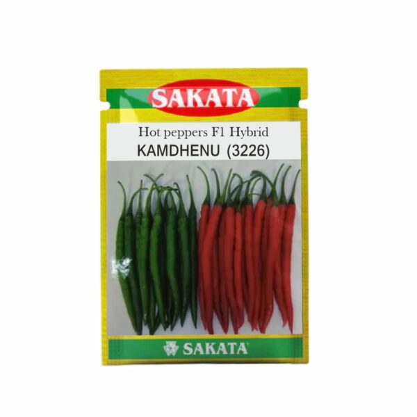 SAKATA HOT PEPPER KAMADENU (3226) (10 GM)