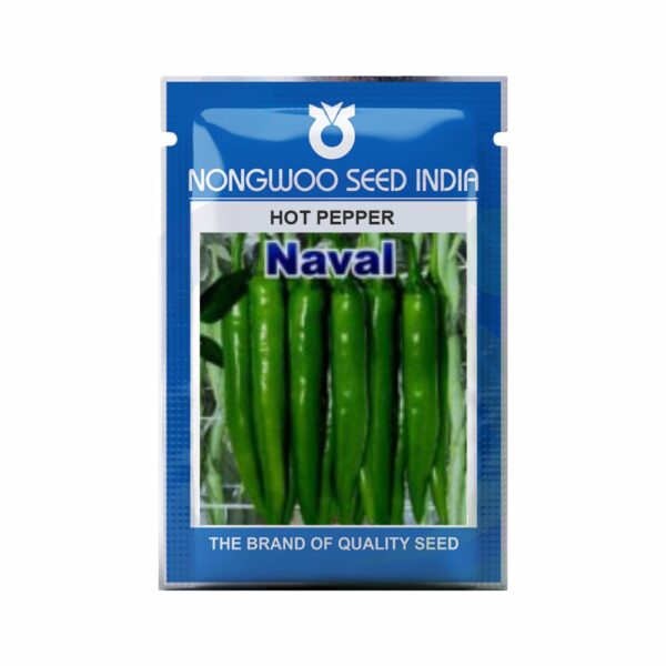 NONGWOO CHILLI NAVAL (10 GM)