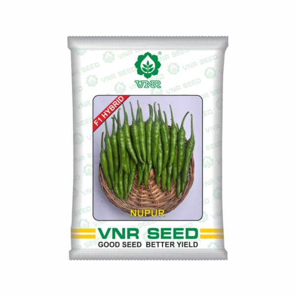VNR f1 CHILLI HYBRID nupur (10 gm)