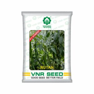 VNR f1 CHILLI HYBRID nutan (10 gm)