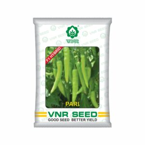 VNR f1 CHILLI HYBRID pari (10 gm)