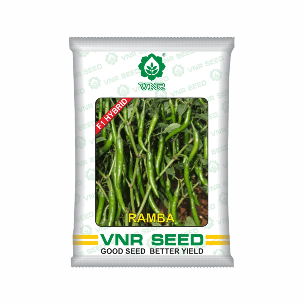 NR f1 CHILLI HYBRID rambha (10 gm)