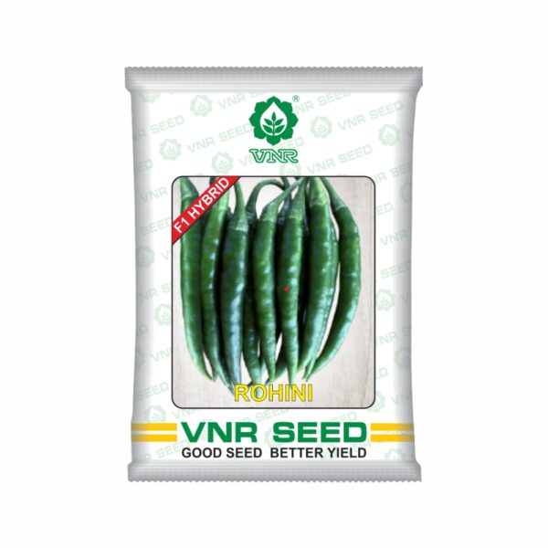 VNR f1 CHILLI HYBRID rohini (10 gm)