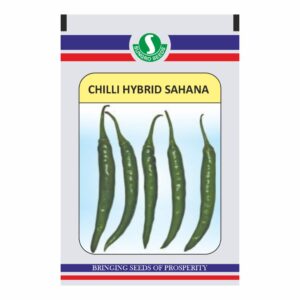 sungro CHILLI HYBRID SAHANA (10 Gm)
