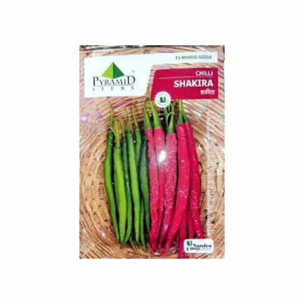 NAMDEO CHILLI SHAKIRA (10000 SEEDS)