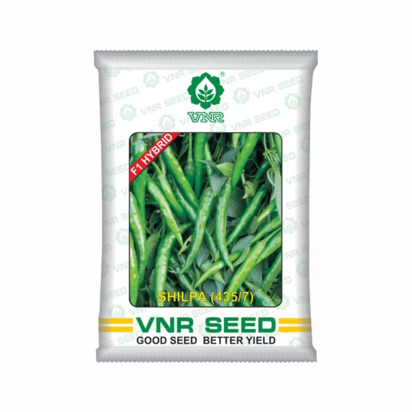 VNR f1 CHILLI HYBRID shilpa (435/7) (10 gm)