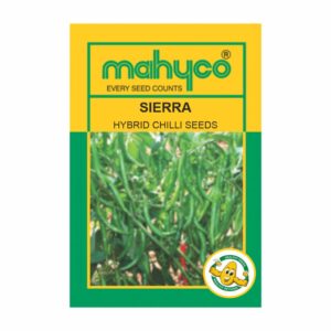 mahyco CHILLI  HY. SIERRA(MHCP-317)10GM+2GM Free
