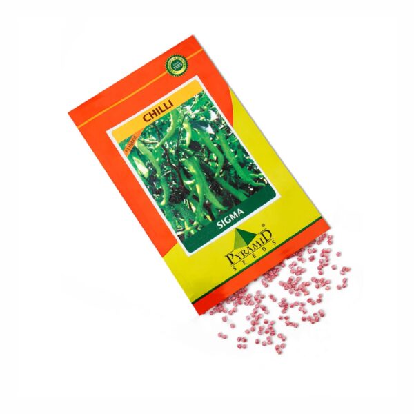 NAMDEO CHILLI SIGMA (10 GM)