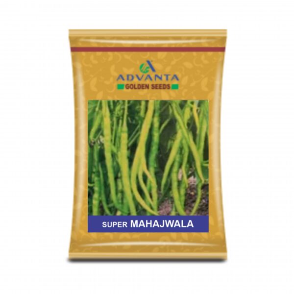 ADVANTA/upl CHILLI SUPER MAHAJWALA (10GM)