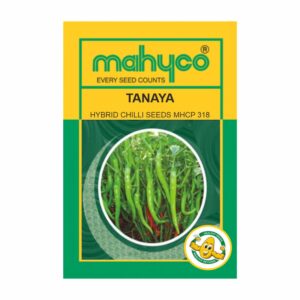 mahyco CHILLI  HY.TANAYA(MHCP-318)10GM+3GM Free