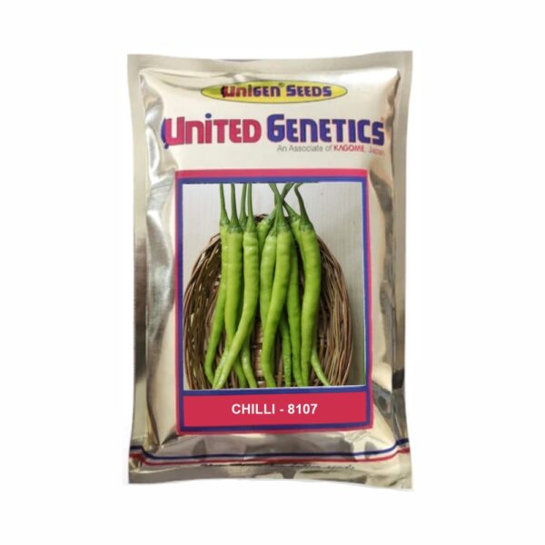 UNITED GENETICS CHILLI UGI 8107  SEEDS ( 10 GM)