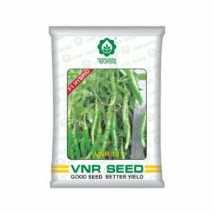 VNR f1 CHILLI HYBRID vnr-10 (10 gm)