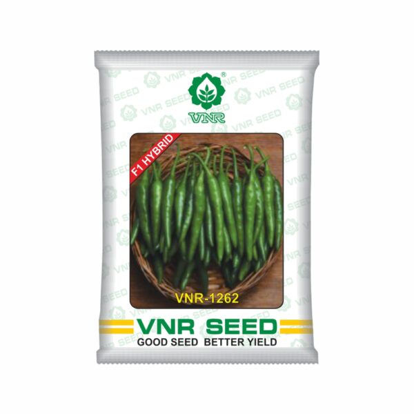 VNR f1 CHILLI HYBRID 1262 (10 gm)